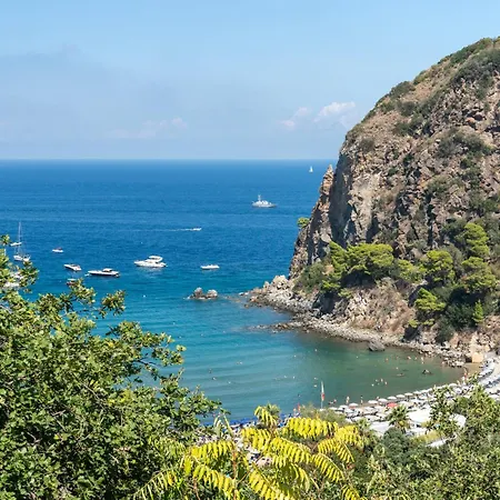Holiday home La Terrazza Sulla Baia - Ischia San Montano View